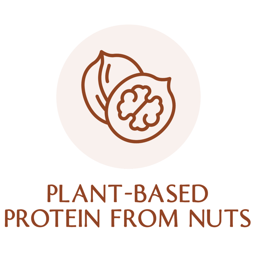 plant based protein from nuts FOR PREGNANT MUMMIES